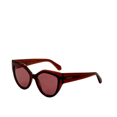 Ferragamo Women's Sunglasses In Brown