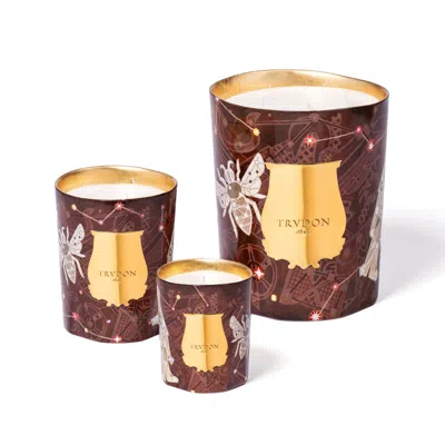 Trudon Libra Candle (limited Edition) In Brown