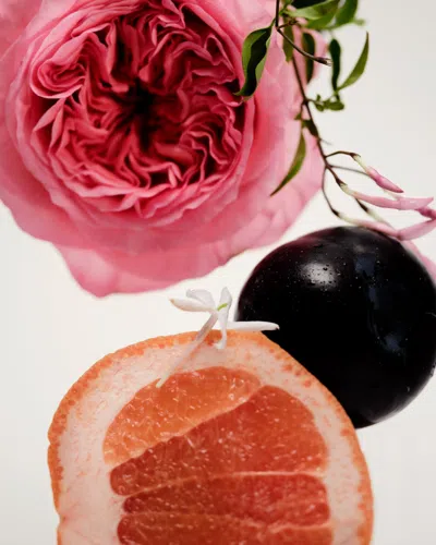 Maison Louis Marie No.14 Icila Diffuser In Transparent