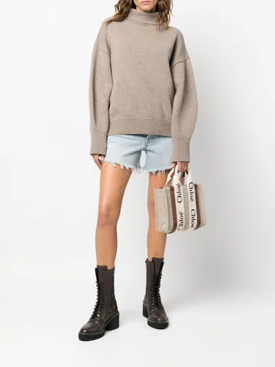 Chloé Women's Woody Small Canvas Tote Bag In Brown