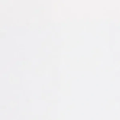 Kenneth Cole High Rise Fly Front Double Pleat Wide Leg Pant In White