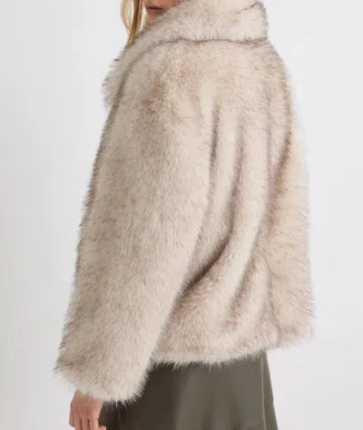Marella Coats In Neutral