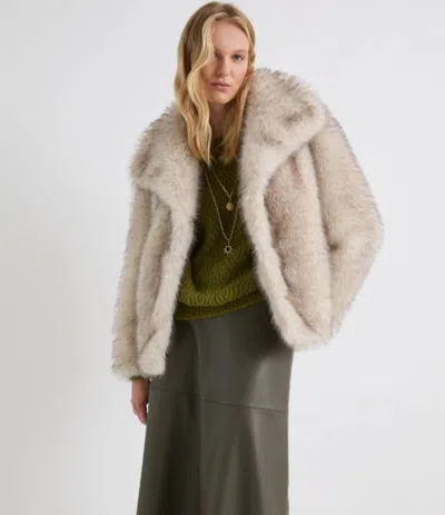 Marella Coats In Neutral