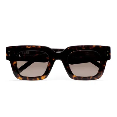 Kaleos Sunglasses In Brown
