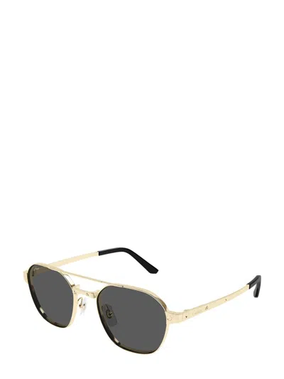 Cartier Ct0571s Santos De Sunglasses In Multi