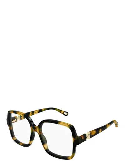 Chloé Full Frame Plain Mirror In Brown