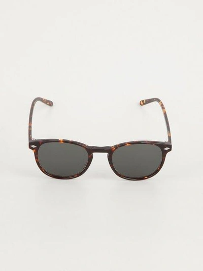 玳瑁纹太阳眼镜