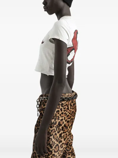 Dolce & Gabbana T-shirt In Jersey With Print In White