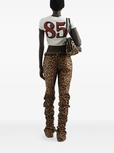 Dolce & Gabbana T-shirt In Jersey With Print In White