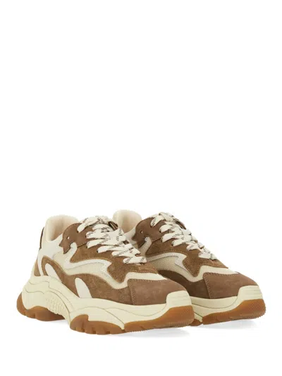 Ash Sneaker Addict In Brown