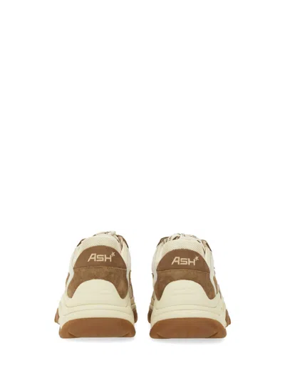Ash Sneaker Addict In Brown