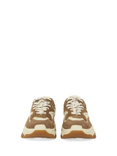 Ash Sneaker Addict In Brown
