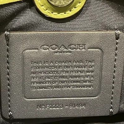 Pre-owned Coach Beige Green Pvc Handbag Shoulder Bag () In Multi