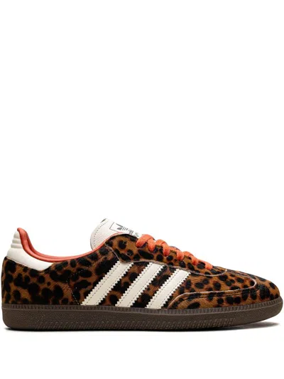 Adidas Originals Celine Low Lace-up Sneakers With Triomphe In Animal Print