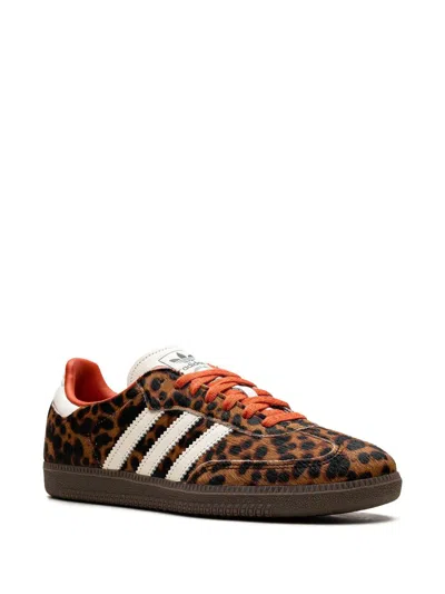 Adidas Originals Celine Low Lace-up Sneakers With Triomphe In Animal Print