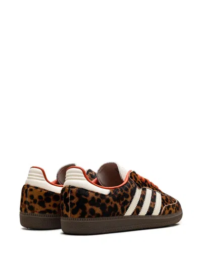 Adidas Originals Celine Low Lace-up Sneakers With Triomphe In Animal Print