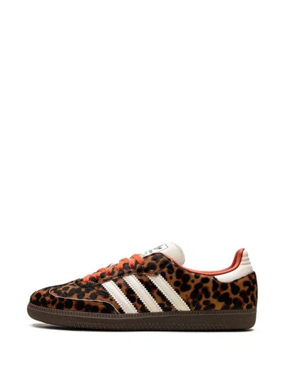 Adidas Originals Celine Low Lace-up Sneakers With Triomphe In Animal Print