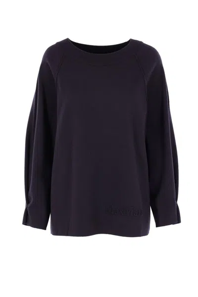 Max Mara Wool And Viscose Pullover With Raglan Sleeves In Blue