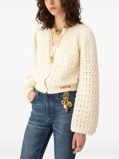 Chloé Wool And Cashmere Knit Round-neck Cardigan In Neutral