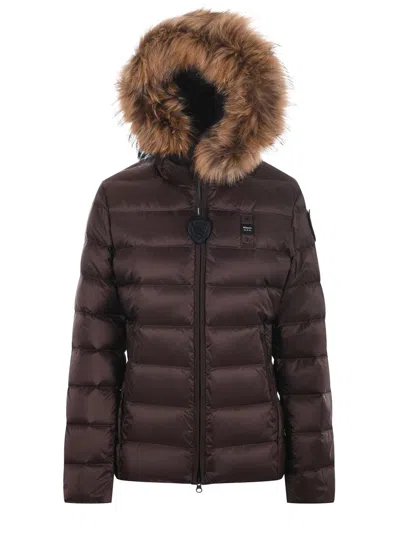 Blauer Usa Quilted Satin Nylon Down Jacket In Brown