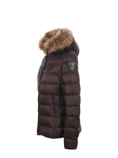 Blauer Usa Quilted Satin Nylon Down Jacket In Brown