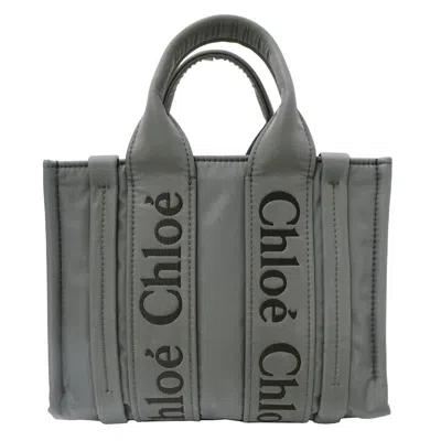 Pre-owned Chloé Gray Khaki Nylon Handbag Shoulder Bag () In Multi