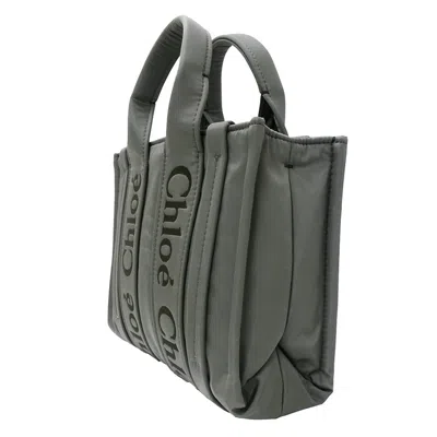 Pre-owned Chloé Gray Khaki Nylon Handbag Shoulder Bag () In Multi