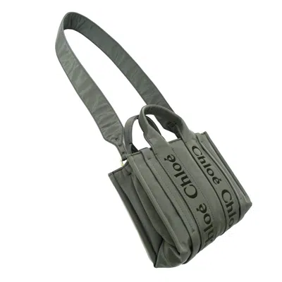 Pre-owned Chloé Gray Khaki Nylon Handbag Shoulder Bag () In Multi