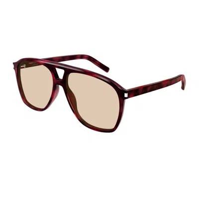 Saint Laurent Sl 596 Dune Linea Corner Angle 003 Havana Brown Sunglasses In Brown