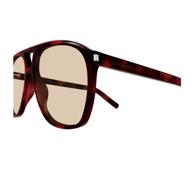 Saint Laurent Sl 596 Dune Linea Corner Angle 003 Havana Brown Sunglasses In Brown