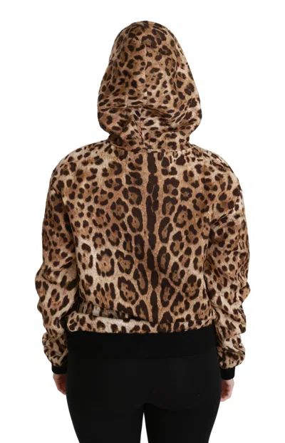 Dolce & Gabbana Brown Hooded Studded Ayers Leopard Sweater In Multi