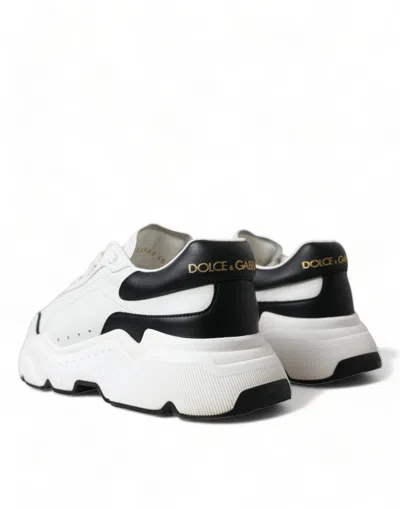 Dolce & Gabbana White Black Low Top Daymaster Sneakers Women's Shoes In Multi