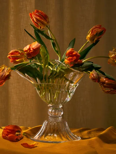 Akua Objects Blixen Hand-blown Crystal Vase (10.5in/27cm) In Transparent