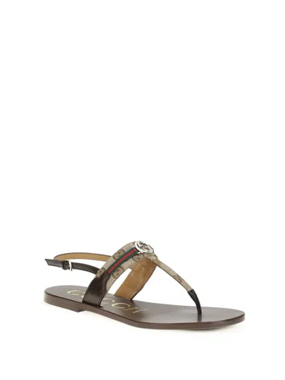 Gucci Brown Calf Leather Bos Taurus Flat Sandals In Multi