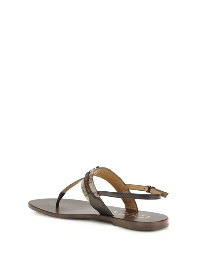 Gucci Brown Calf Leather Bos Taurus Flat Sandals In Multi