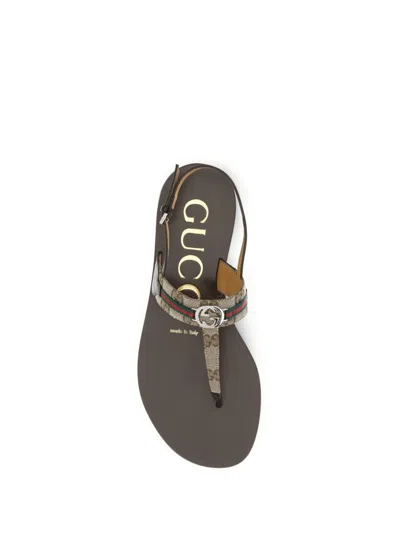 Gucci Brown Calf Leather Bos Taurus Flat Sandals In Multi
