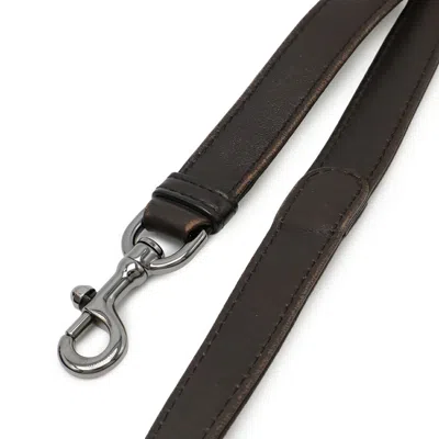 Pre-owned Loewe Bordeaux Brown Nappa Leather Shoulder Bag () In Multi