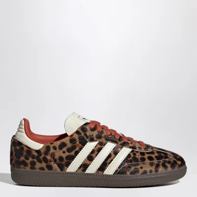 Adidas Originals Celine Low Lace-up Sneakers With Triomphe In Animal Print