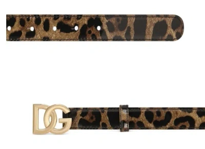 Dolce & Gabbana Dark Brown Leather Leopard Belt In Brown