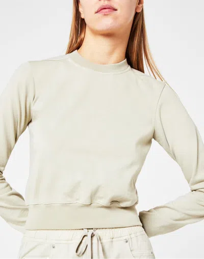 Drkshdw Pearl Cropped Sweatshirt In White