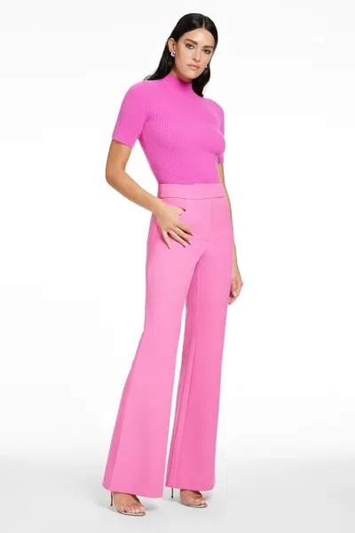 Toccin Gaia Flared Pant In Pink