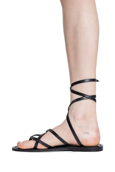 Kjacques K.jacques Zenobie Sandals Shoes In Multi