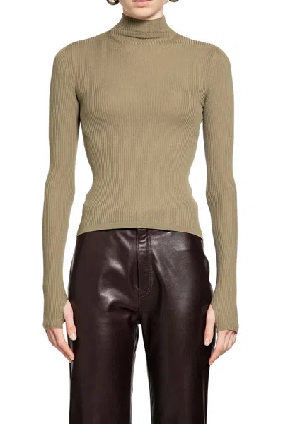 Petar Petrov Knitwear In Brown