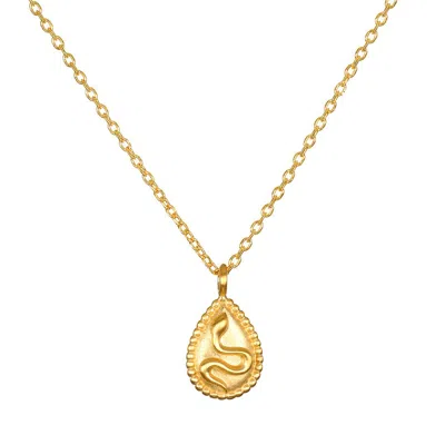Satya Jewelry Shifting Consciousness Snake Necklace In Gold