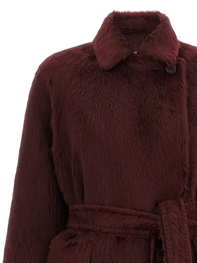 Max Mara Albata1234 Fur Bordeaux In Red