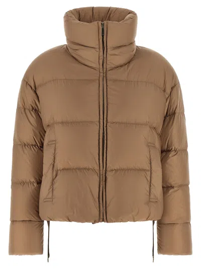Max Mara The Cube Trebi Down Jacket In Brown