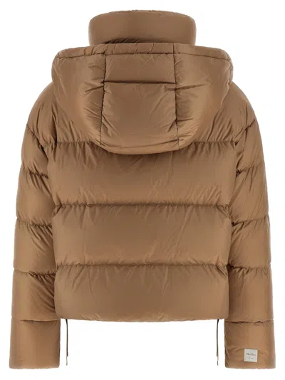 Max Mara The Cube Trebi Down Jacket In Brown