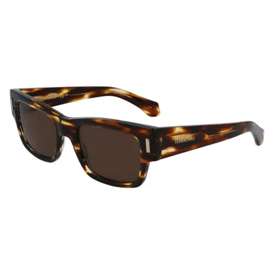 Ferragamo Brown Acetate Sunglasses In Brown