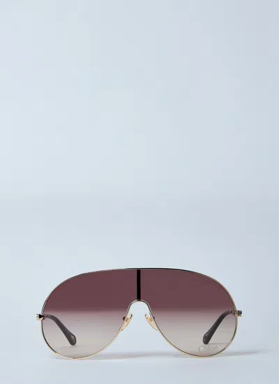 Chloé Women Ch0283s Sunglasses In Brown
