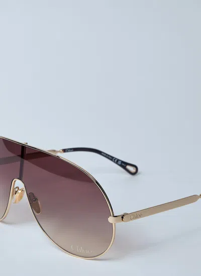 Chloé Women Ch0283s Sunglasses In Brown